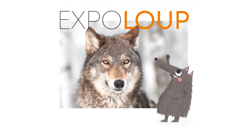 EXPO-LOUP-1
