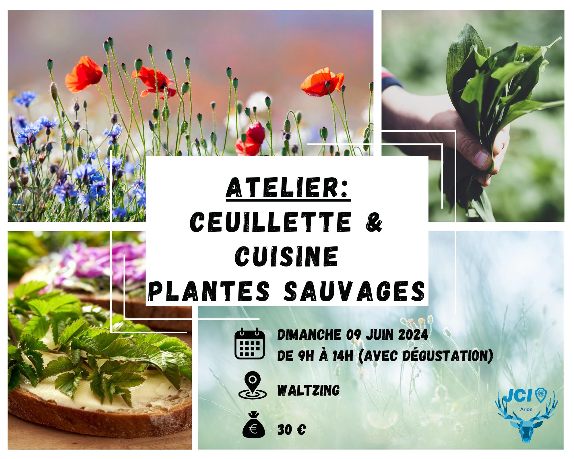 Atelier « Cueillette & cuisine des plantes sauvages »