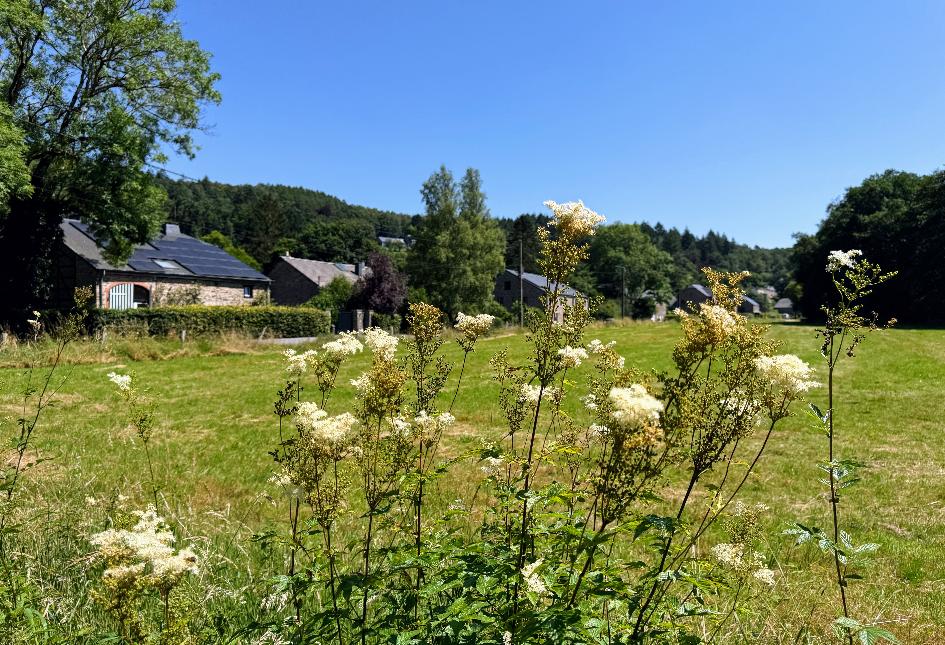 Promenade-viree-des-croix©MTFSH TEXTO Pascal Willems (23)