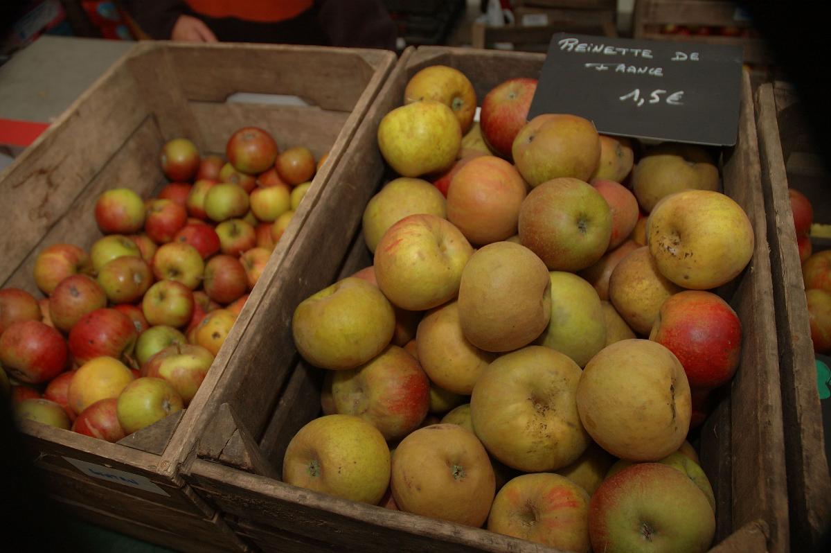 Foire aux pommes de l'Aquascope