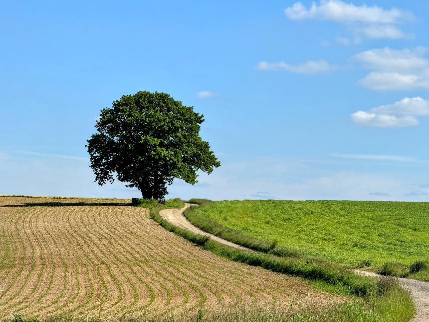 Promenade-chaussee-marietherese©MTFSH_TEXTO_Pascal_Willems_(196)