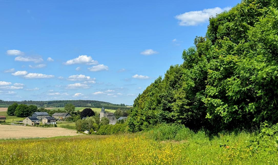 Promenade-chaussee-marietherese©MTFSH_TEXTO_Pascal_Willems_(3)