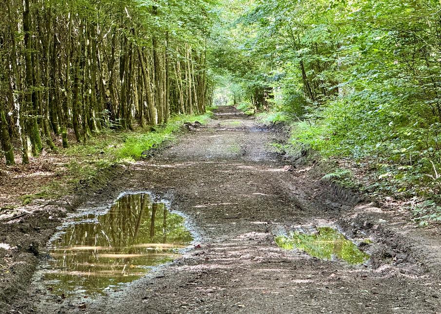 Promenade de tultay © MTEXF TEXTO Pascal Willems (61)