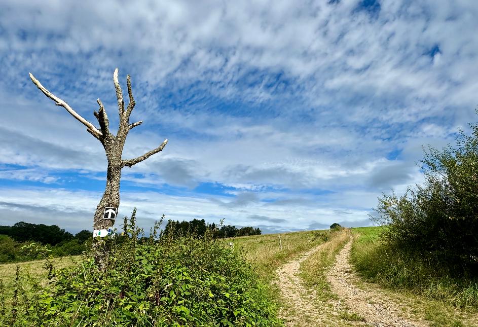 Promenade de tultay © MTEXF TEXTO Pascal Willems (50)