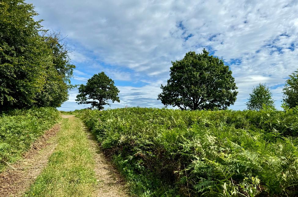 Promenade de tultay © MTEXF TEXTO Pascal Willems (97)