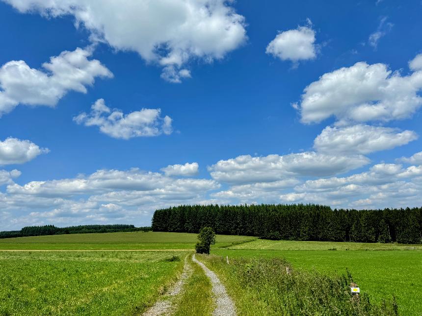 Promenade-voie-saint-andre©MTFSH TEXTO Pascal Willems (14)