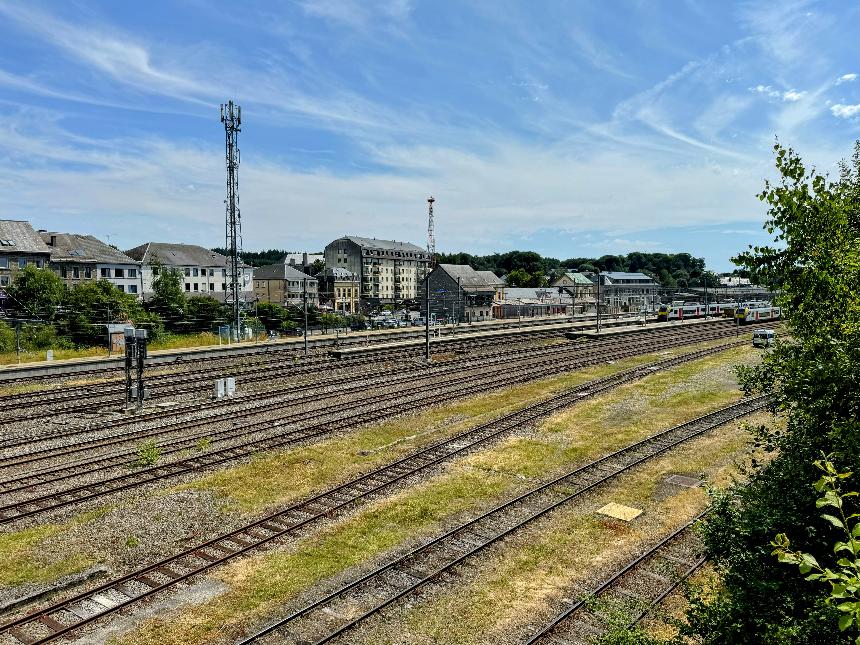 Promenade-citoyenne-libamont©MTFSH TEXTO Pascal Willems (65)