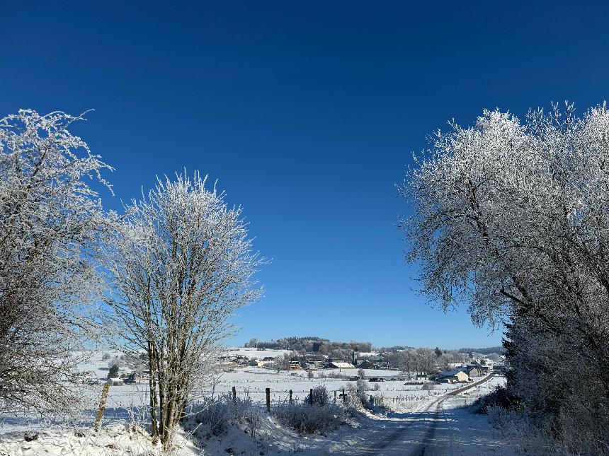 Circuit-bataille-des-ardennes-libramontchevigny©MTFSH_TEXTO_Pascal_Willems_ (5)