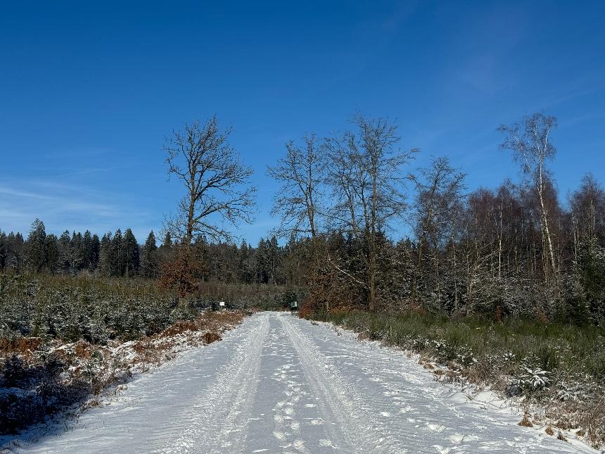 Circuit-bataille-des-ardennes-libramontchevigny©MTFSH_TEXTO_Pascal_Willems_ (8)