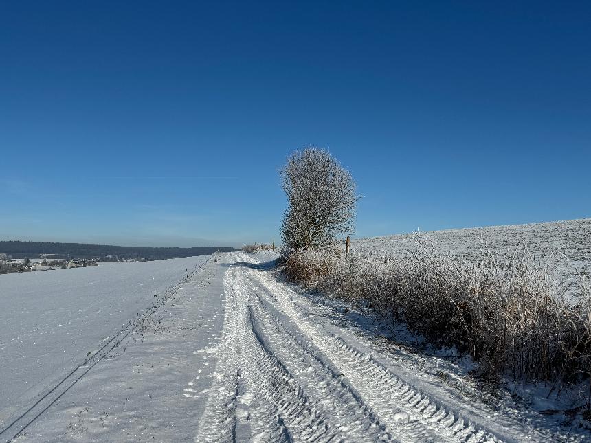 Circuit-bataille-des-ardennes-libramontchevigny©MTFSH_TEXTO_Pascal_Willems_ (10)