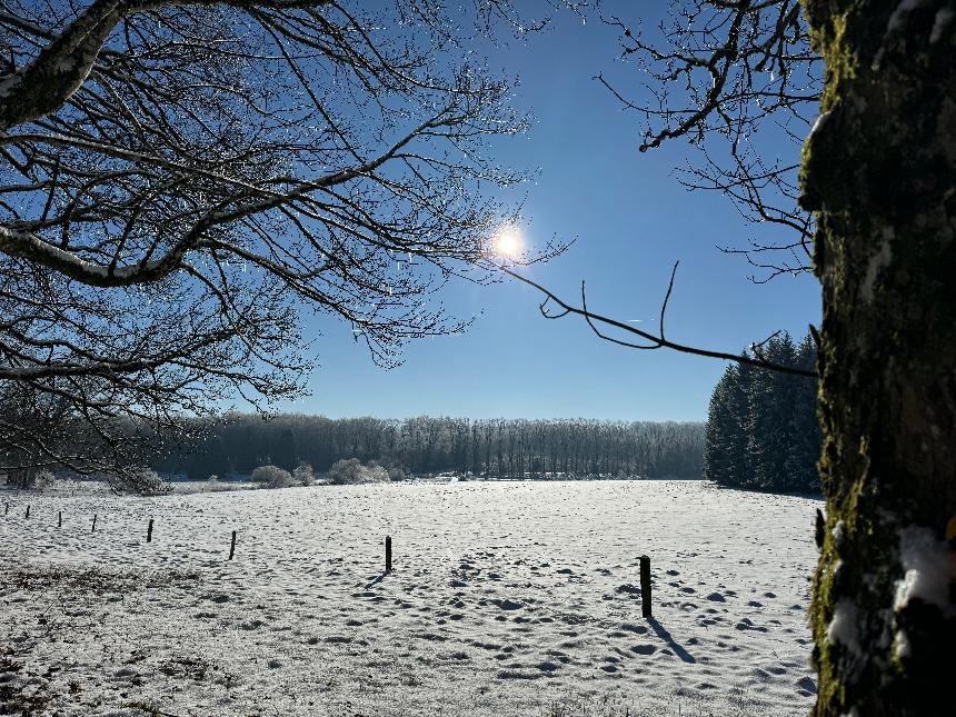 Circuit-bataille-des-ardennes-libramontchevigny©MTFSH_TEXTO_Pascal_Willems_ (12)