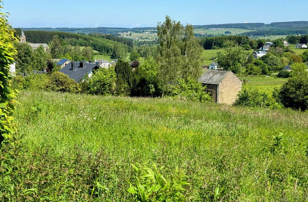 Promenade-banalbois-sainthubert©MTFSH TEXTO Pascal Willems (114)