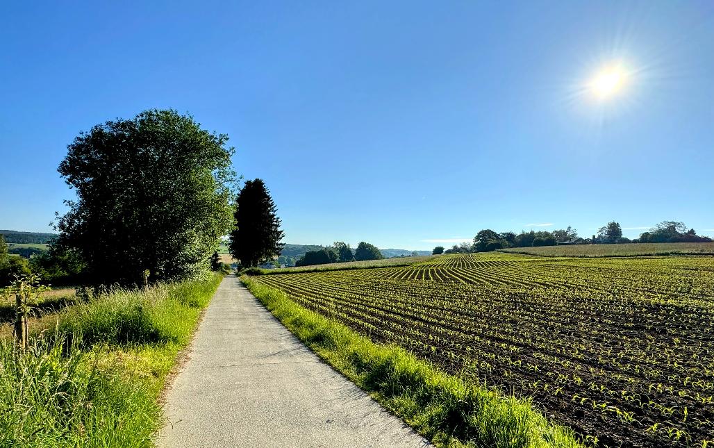 Promenade-arville-sainthubert©MTFSH TEXTO Pascal Willems (251)