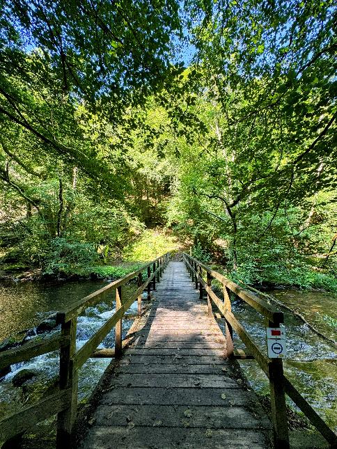 Promenade-de-la-lesse©MTFSH_TEXTO_Pascal_Willems_(59)