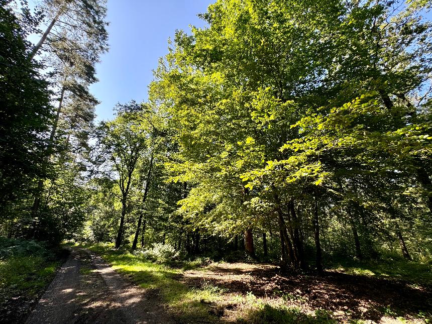 Promenade-croix-victoire©MTFSH_TEXTO_Pascal_Willems_(163)