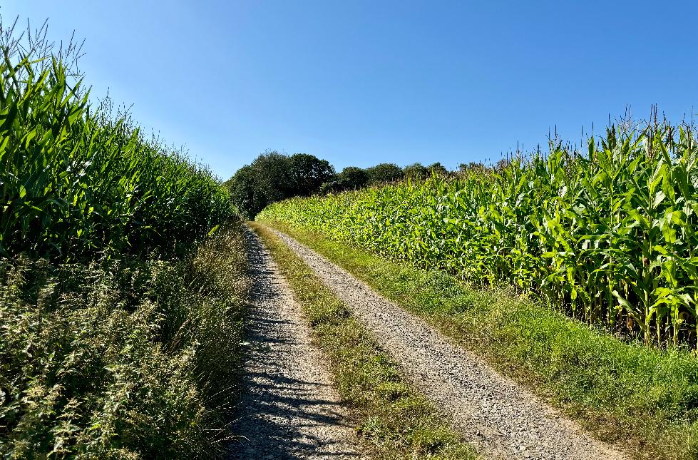 Promenade-croix-victoire©MTFSH_TEXTO_Pascal_Willems_(181)