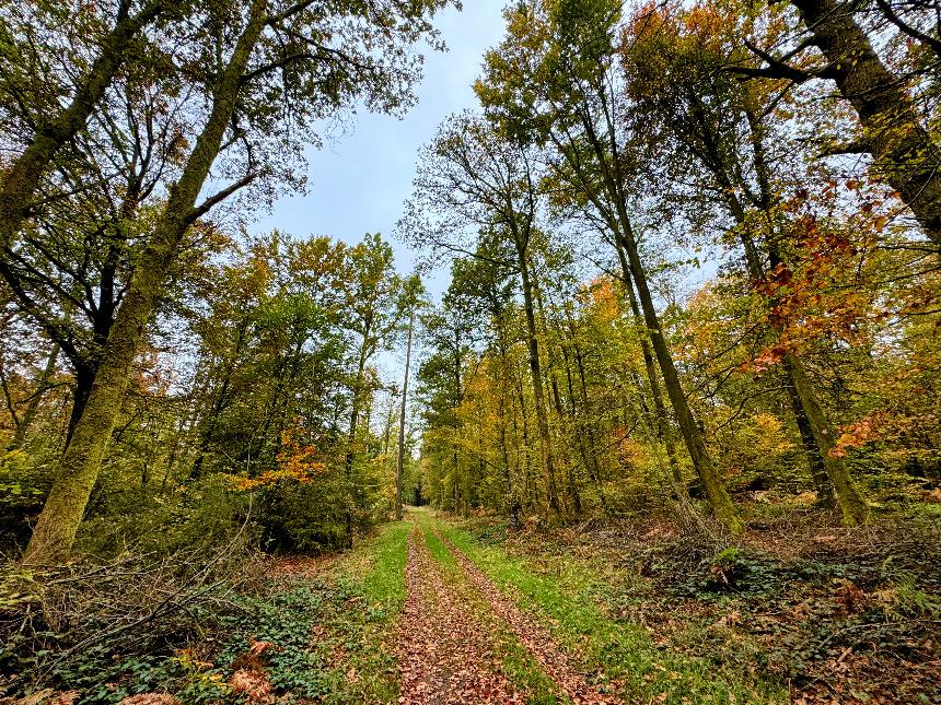 VTT-Entre-bronze-et-ourthe©MFSH-TEXTO Pascal Willems (38)