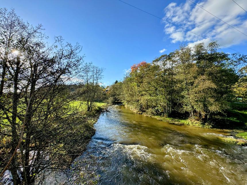 VTT-Entre-bronze-et-ourthe©MFSH-TEXTO Pascal Willems (111)