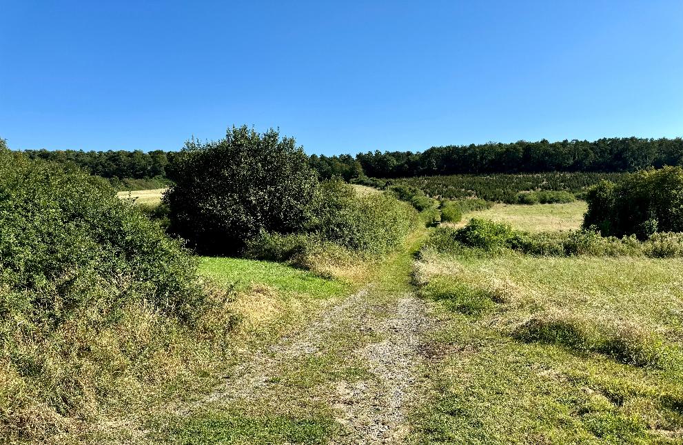 Decouverte-de-la-calestienne©MTFSH-TEXTO_Pascal_Willems_(3)