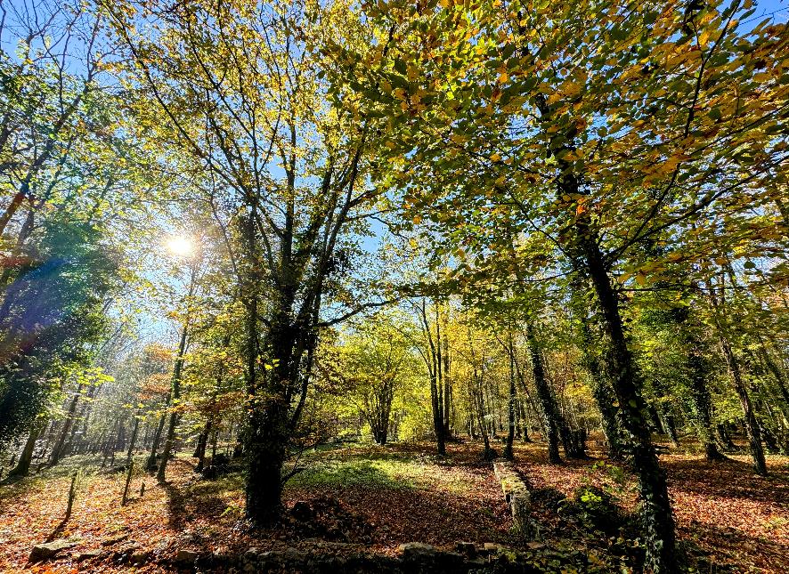 Vtt-calcaires-du-geopark-wellin©MTFSH-TEXTO_Pascal_Willems_(152)