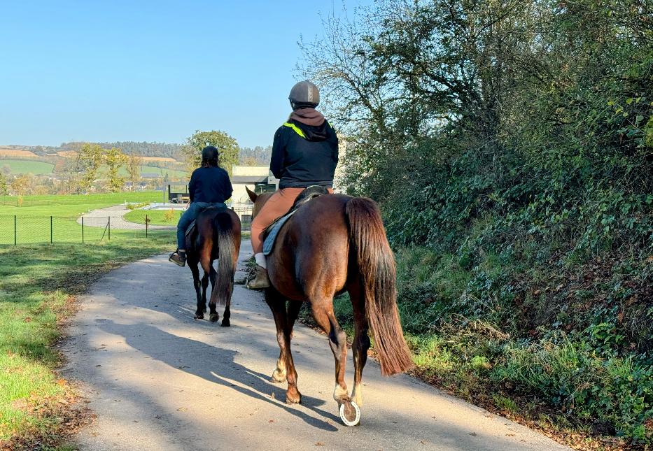 Equestre-cestmonpointdevue©MTFSH-TEXTO_Pascal_Willems_(36)