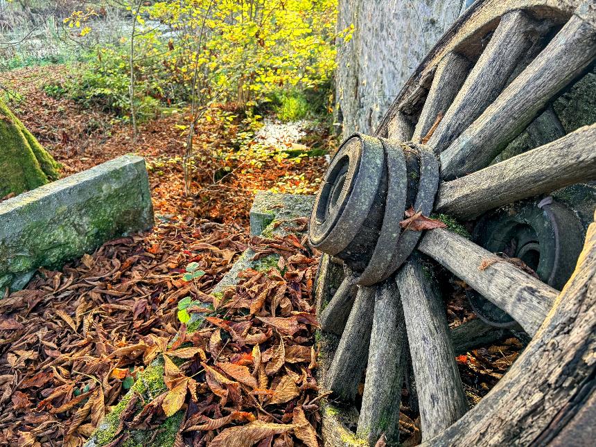 Promenade-grand-moulin©MTFSH-TEXTO_Pascal_Willems_(5)