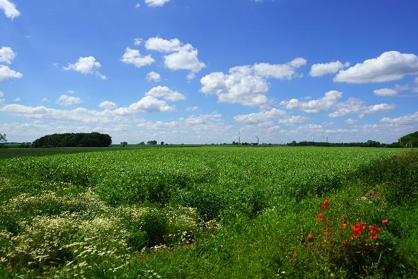 Vue paysage Corroy le château Denis Closon