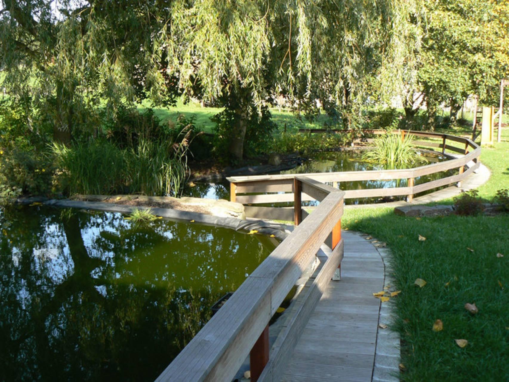 Hotel Zum Buchenberg