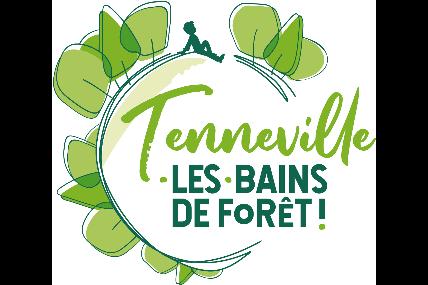 Bain de forêt: “La vie en arc-en-ciel”