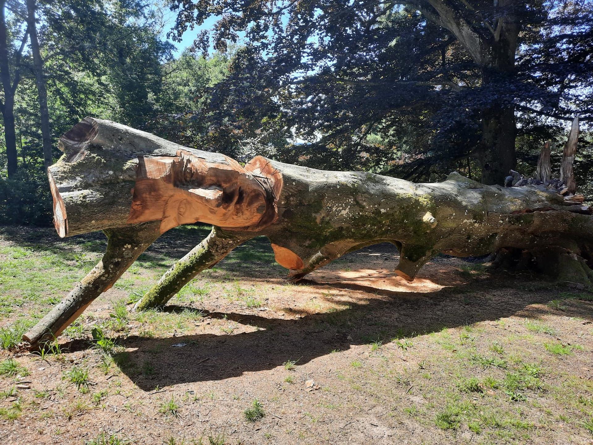 Domaine de Ronchine - Famille Bienvenue-arbre sculpté1