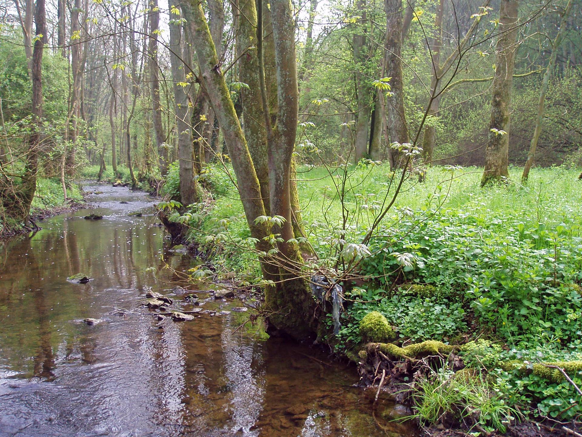 168002_parcnaturelhautspays-roquette