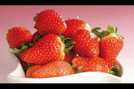 Les fraises de Sambreville - Luc Bertrand